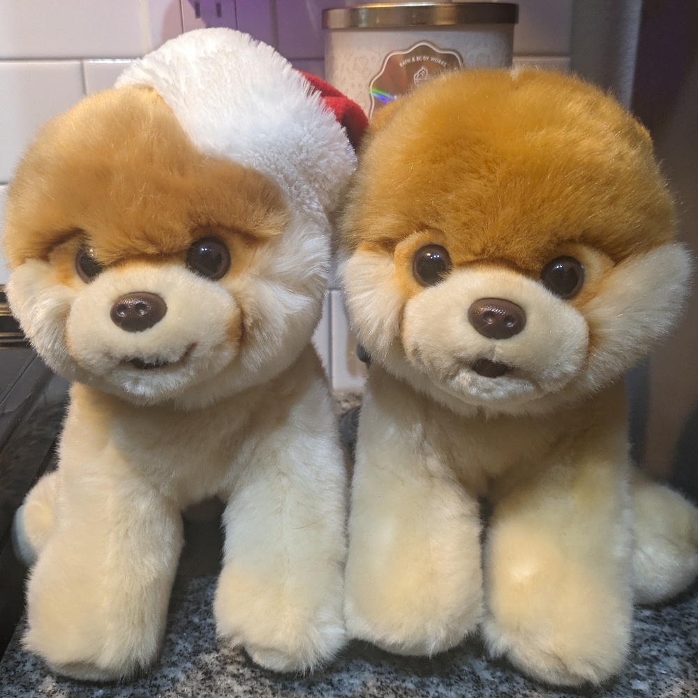 Stuffed Animals ❤️